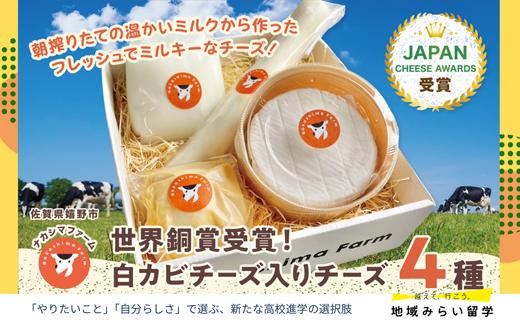 
            【セット】世界銅賞受賞！白カビチーズ入りチーズ4種セット(shirokabi・モッツァレラ・さけるチーズ・みそ漬けモッツァレラ)
          