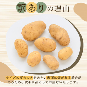 <先行予約受付中!2026年5月下旬以降順次発送予定>訳あり!じゃがいも「メークイン」(約5kg) じゃがいも ジャガイモ 芋 国産 野菜 期間限定 数量限定【古田果樹園】akn093-01