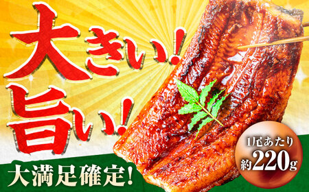 【全3回定期便】中国産 特大うなぎ蒲焼 計660g（220g×3尾）吉野ヶ里町/株式会社フジマキ うなぎ ウナギ 蒲焼[FDM011]