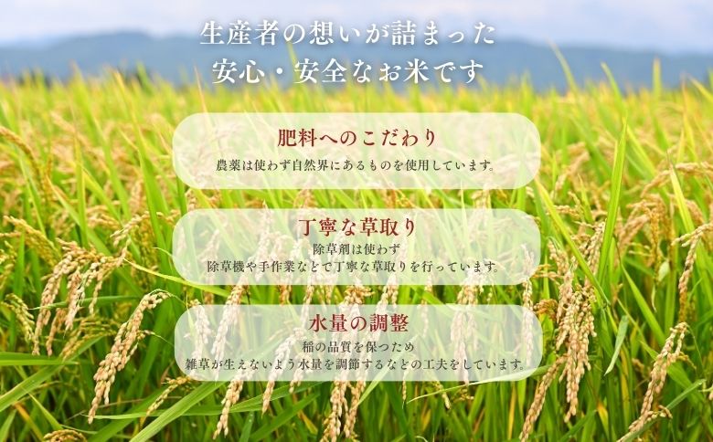 北海道奈井江産ゆめぴりか『奏穂（かなでほ）』　1kg　栽培期間中農薬不使用米（化学肥料5割減）