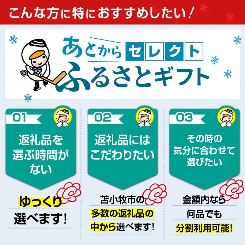 あとから セレクト 【 ふるさと ギフト 】 30万円 T000-000-13 肉 魚 野菜 チケット