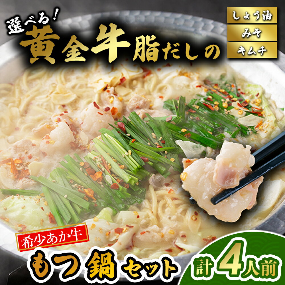 【ふるさと納税】阿蘇はなびし あか牛もつ鍋セット 選べるスープ（しょうゆ・みそ・キムチ）もつ鍋 鍋 あか牛 麵付き お取り寄せ 冷凍 お土産 ギフト 贈答用 晩ご飯 夕食 簡単 セット 手軽 熊本県 阿蘇市