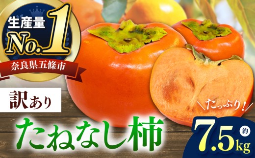 【家庭用】どっさり わけあり たねなし柿 約7.5kg | フルーツ くだもの 果物 柿 かき カキ  奈良県 五條市 訳 あり わけあり 訳あり 家庭用 自宅用 どっさり たっぷり 種なし 種無し 種なし柿 産地直送 国産 人気 送料無料 甘い 不揃い 規格外 グルメ お取り寄せ 大容量 ビタミン 食物繊維 豊富 美容 健康 10月 11月 秋 旬 味覚 食べやすい
