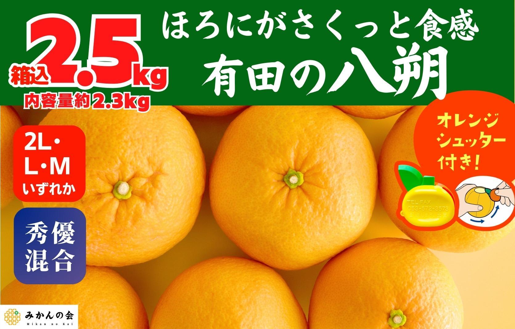 八朔 (はっさく)  玉ぞろい 箱込 2.5kg(内容量約 2.3kg) 2L L Mサイズのいずれか 秀品 優品 混合和歌山県産  産地直送【おまけ付き】【みかんの会】 	AX234