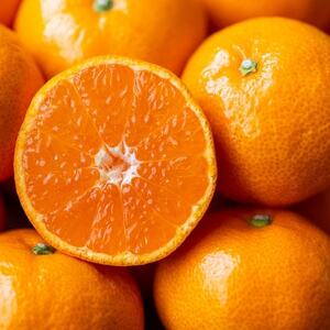 【愛媛名産】玉宝みかん【雫・・小玉】 10kg【F64-30】【1510746】