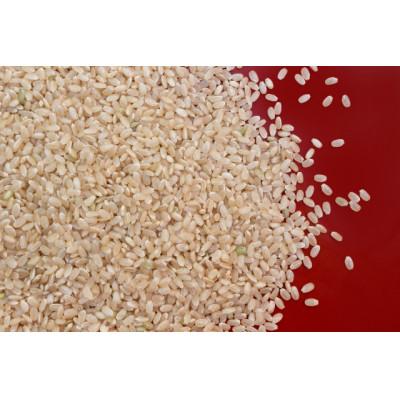 ふるさと納税 竜王町 令和6年産 キヌヒカリ玄米 30kg |  | 02