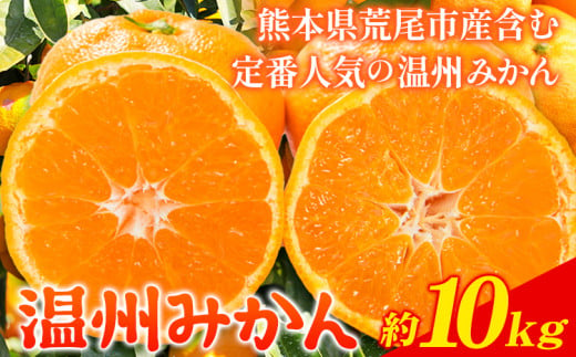 みかん 温州みかん 約 10kg 熊本県 荒尾市産含む 《11月上旬-12月上旬頃出荷》送料無料 熊本県 荒尾市 フレッシュフーズ 柑橘 フルーツ ミカン 蜜柑 果物