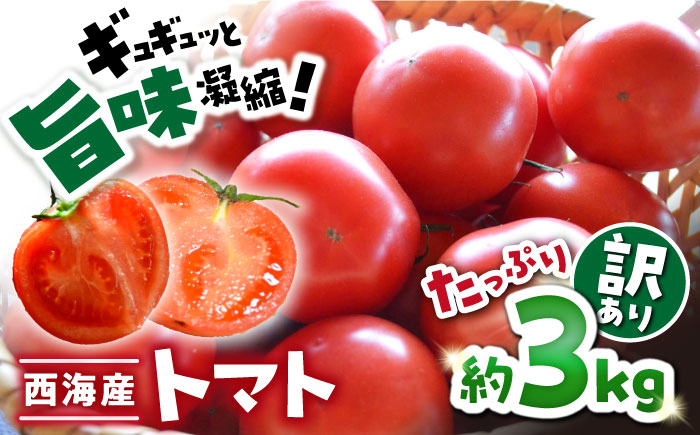 
【 訳あり 】 トマト 西海市産 3kg トマト とまと 西海市 野菜 新鮮 旬 期間限定トマト ＜株式会社ミスズアグリ西海＞ [CFN003]
