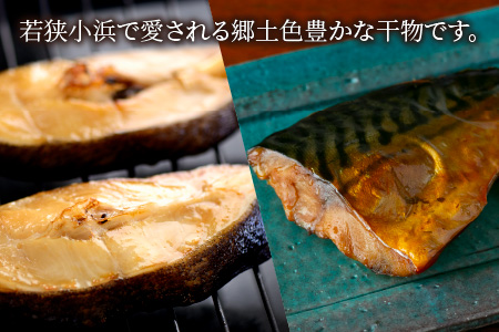 おばま醤油干12個セット （ぶり、サーモン、サバ、いわし、かれい、ぎんだら）干物 ご飯のお供 [B-001013]