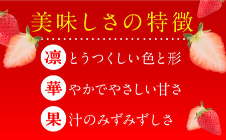 ＜佐賀県産いちご＞いちごさん 1パック（450g） 佐賀県/JAからつ 唐津うまかもん市場[41ABCA001]