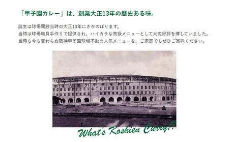 甲子園カレー＜中辛＞6箱セット12食入