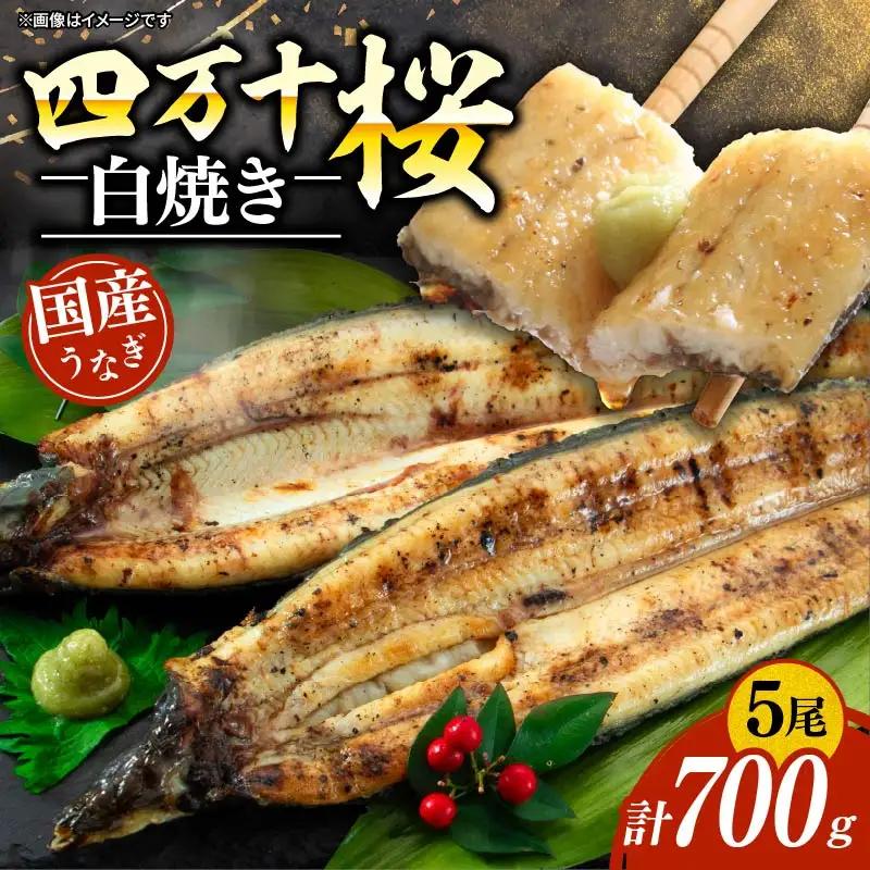 【通常用】極上国産うなぎ四万十桜　白焼き約140g×5尾 ＼ 完全無投薬白焼き ／