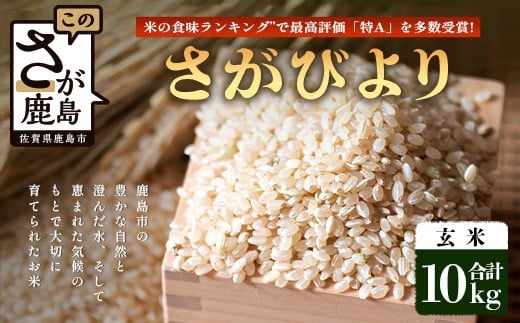【鹿島市産】＼生産者直送／ さがびより 玄米10kg　さがびより 佐賀県産さがびより 佐賀県鹿島市 お米 米 精米 玄米 ふるさと納税 お米 ご家庭用米 主食ギフト 美味しいお米 お取り寄せ 贈答用米 食卓応援　D-249