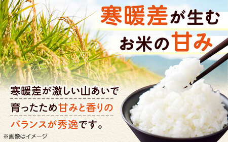 R7年度産 お米 10キロ キヌヒカリ きぬひかり 新米 米 お米 白米 コメ おこめ 10kg 大阪府高槻市/ベジ彩ファーム[AOEJ010]