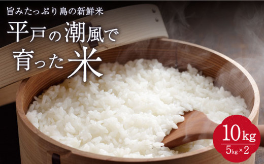 平戸の潮風で育った米10kg【株式会社ひらど新鮮市場】[KAB035]/ 長崎 平戸 米 精米 こしひかり ひのひかり にこまる なつほのか 小分け