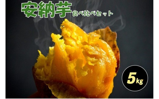 種子島安納黄金・紅いも食べ比べ5kg 2S～Sサイズ（61g～150g）