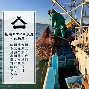 活はまぐり 約3.1kg 【 はまぐり 】