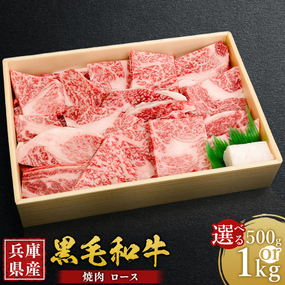 【ふるさと納税】＜選べる容量＞ 牛肉 兵庫県産 黒毛和牛 焼肉 ロース 約500g・約1kg ／ 肉 にく 和牛 焼肉 焼き肉 バーベキュー BBQ アウトドア 食品 グルメ ギフト 贈答 兵庫県 赤穂市 冷凍 送料無料