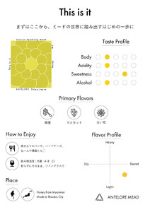 《2本セット》【国内唯一のクラフトミード醸造所ANTELOPE】大人気！はちみつで醸したお酒ミード「What Churchill Said」/ 「This is it」（各500ml）