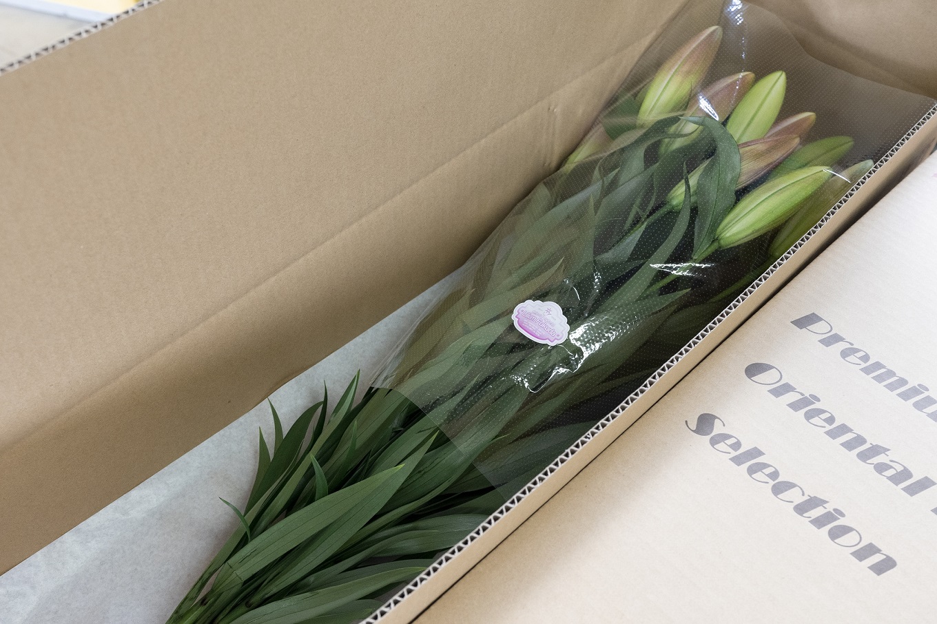 ユリ(オリエンタルリリー)5本×10ヶ月 毎月お届け 10〜6月