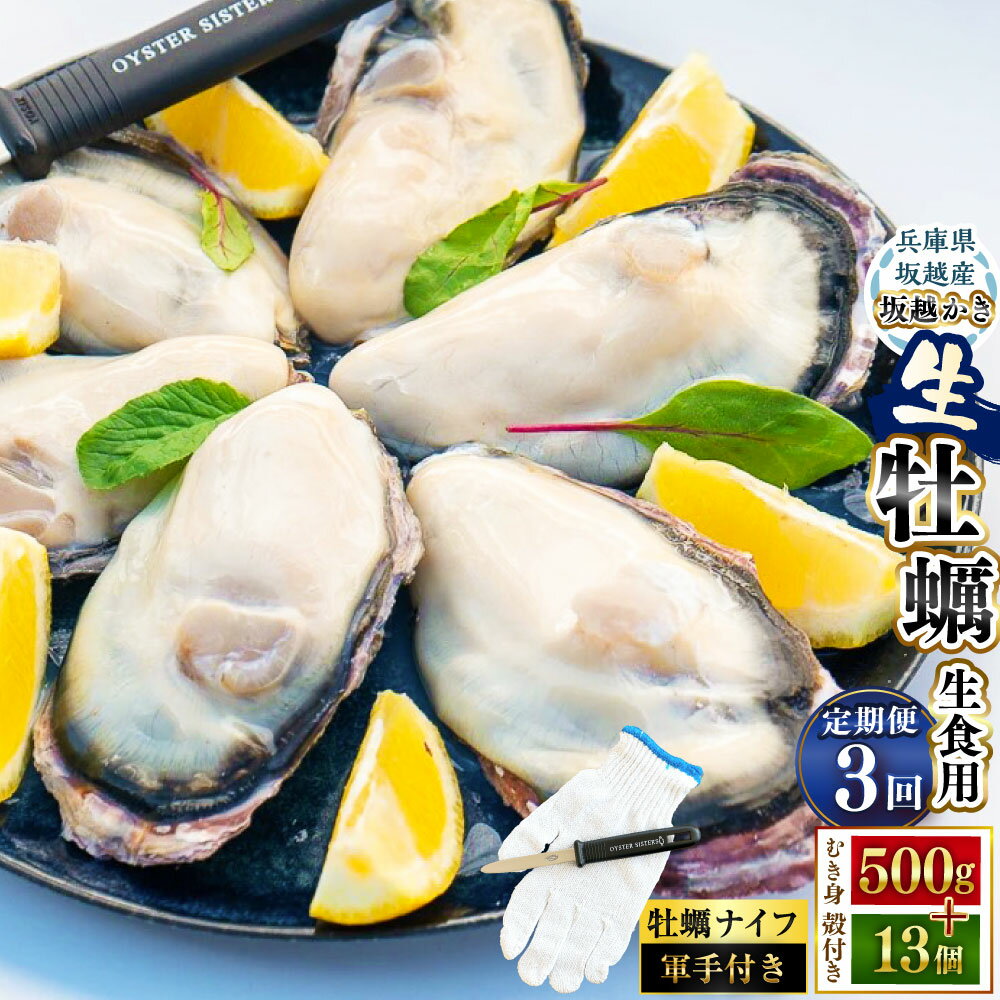 【ふるさと納税】＜3回定期便＞ 定期便 坂越かき むき身 約500g×1パック 殻付き 13個（牡蠣ナイフ・軍手付き） ／ 牡蠣 かき カキ オイスター 剥き身 殻付 兵庫県 赤穂市 冷蔵 送料無料 【2027年1月上旬-2027年3月下旬発送予定】