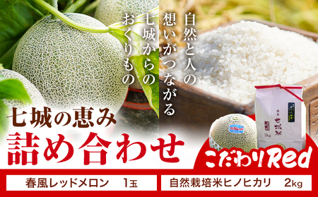 七城の恵み 詰め合わせ こだわりRed 自然栽培米 ヒノヒカリ 2kg 春風レッド メロン 1玉 株式会社七城の恵み《5月上旬から5月下旬に出荷開始》熊本県 菊池市 米 メロン ひのひかり つるたファーム