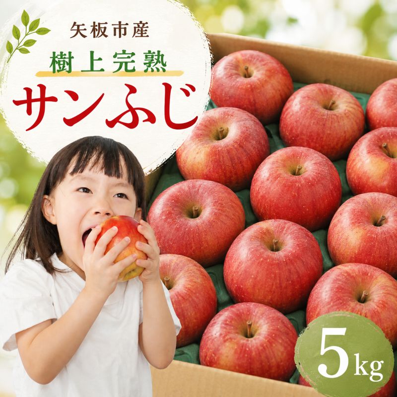 【ふるさと納税】りんご 樹上完熟 サンふじ 5kg 数量 限定【2026年 先行予約】| 11月 より発送 ふじりんご リンゴ 産地直送 国産 林檎 フルーツ 果物 栃木県 矢板市産