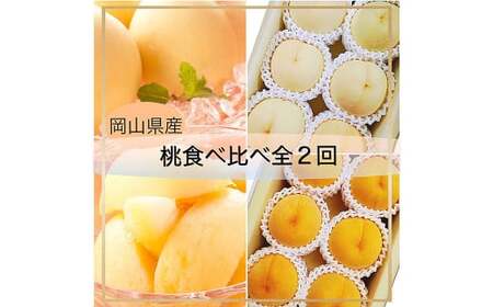 【桃定期便2回】 （岡山白桃 ・ 黄金桃） 【2026年7月上旬より発送開始】 ／ 桃 もも 果物 果実 フルーツ 旬 食べ比べ 定期便 岡山県 美咲町 冷蔵