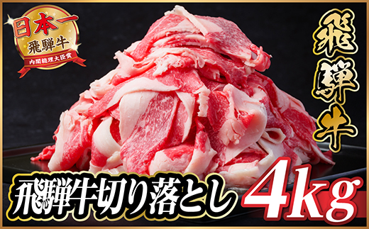 飛騨牛　切り落とし　約4kg(約500g×8)【冷蔵便】A4～A5等級 黒毛和牛 小分け【配送不可地域：離島】