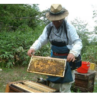 ふるさと納税 九度山町 熊野古道　峠の蜂蜜(180g×2本セット)【澤株式会社(九度山町)】 |  | 01