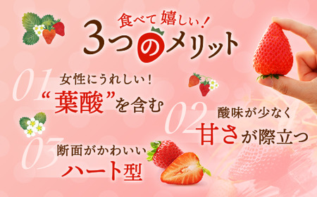 〈数量限定〉【先行予約】さくら市産イチゴ（とちあいか）290g×4パック【先行予約 栃木県 果物 くだもの フルーツ 苺 いちご】 ※2024年12月下旬～2025年3月下旬頃に順次発送予定