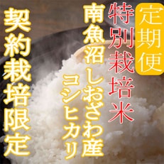 【毎月定期便】※特別栽培米2Kg※生産者限定 南魚沼しおざわ産コシヒカリ 全3回