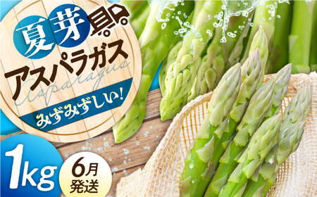 【先行予約】三次の恵みをおふくわけ 朝採れ 夏芽アスパラガスとれたて アスパラ 旬[APAU002] アスパラ アスパラ アスパラ アスパラ アスパラ アスパラ アスパラ