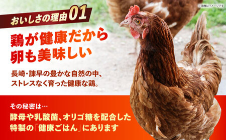 　【朝採れ直送】小峰鶏園 赤たまご Mサイズ 90個 / 卵 玉子 たまご 卵焼き 玉子焼き 生卵 鶏卵 卵かけごはん / 諫早市 / 小峰鶏園[AHFB002]