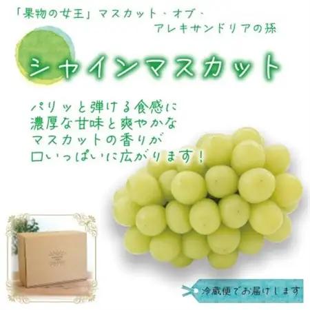岡山　花笑み農園の『食べ比べ4種』シャイン入り　家庭用　2kg(4房)4M-2【配送不可地域：離島・北海道・沖縄県】【1626793】