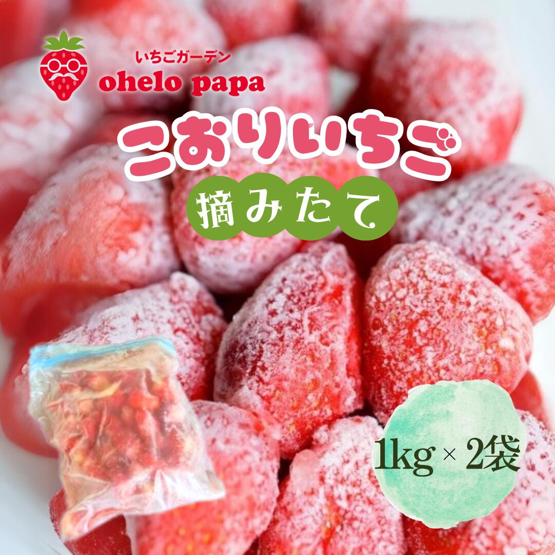 【ふるさと納税】摘みたて氷いちご 2kg 冷凍いちご いちご イチゴ 苺