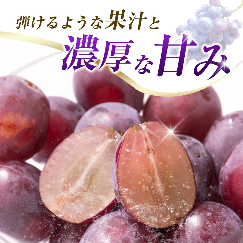 【E238】【令和8年発送 先行予約】小林市産 ピオーネ 2kg（ぶどう ブドウ ピオーネ フルーツ 果物 くだもの 先行受付 限定）_イメージ3
