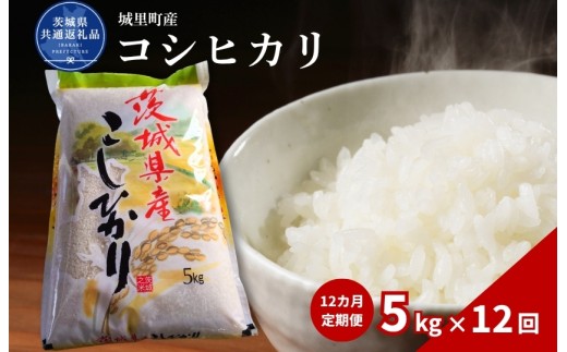 コシヒカリ 5kg  定期便 12ヶ月 米 こめ コメ お米 おこめ こしひかり 白米 精米 ごはん ご飯 令和7年産 茨城県 城里町 高萩市（茨城県共通返礼品・城里町産）