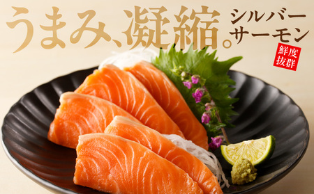 【年内発送】サーモン 1kg ポーション【訳あり サイズ不揃い 刺身 海鮮丼 さーもん サラダ カルパッチョ 鮭 さけ シャケ しゃけ 人気 小分け 冷凍 家計応援】