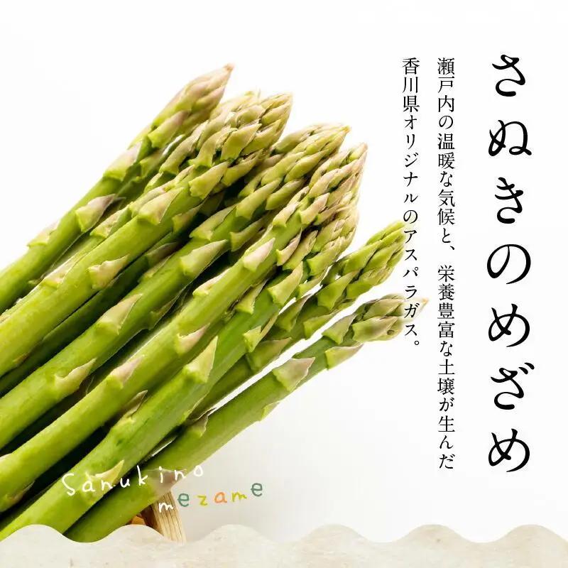さぬきのめざめセミロング30cm(Mサイズ) 約1.1kg【2027-3月上旬～2027-3月下旬配送】