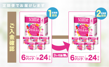トイレットペーパー 【定期便 3ヶ月×2回】 ダブル スコッティ 草加市