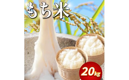 【 20kg 】 米 もち米 20kg 新米 令和7年産 餅 赤飯 おはぎ 備蓄 備蓄米 保存 防災 災害 おこわ 雑煮 大福 あられ イベント 餅つき 先行予約 阿波市 徳島県