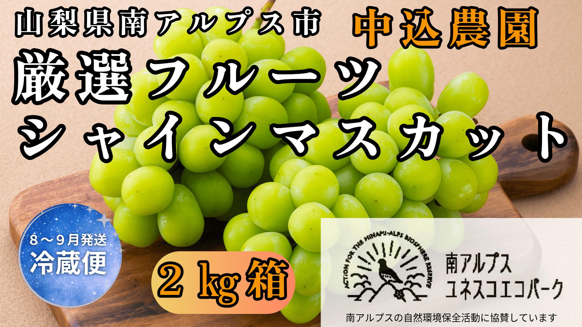【ふるさと納税】＜2026年発送先行予約＞ 山梨県南アルプス市産 厳選 シャインマスカット 2kg 山梨県南アルプス市産 ふるさと納税 シャイン シャインマスカット ぶどう ブドウ 葡萄 果物 フルーツ おすすめ 山梨県 南アルプス市 送料無料 ALPEM010