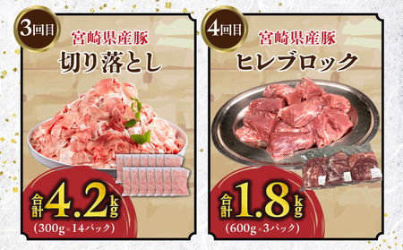 豚肉定期便　5ヶ月