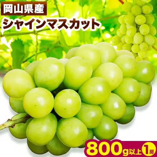 シャインマスカット 800g以上(1房) 花田青果株式会社 シャインマスカット