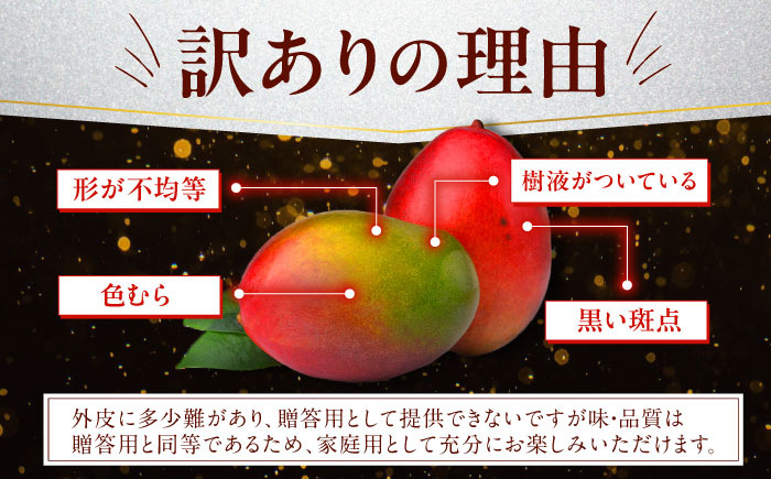 【家庭用】仲村農園の完熟アップルマンゴー 1kg マンゴー 沖縄 果物 フルーツ ギフト 沖縄市 / 仲村農園 [BCCU004]