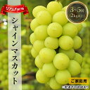 【ふるさと納税】【2025年先行予約】 ご家庭用 ぶどう 岡山県産 シャインマスカット 3～5房（2kg以上） 《2025年8月上旬-9月上旬頃出荷》 葡萄 ブドウ フルーツ 果物 スイーツ 数量限定 期間限定 里庄町 リアム farm　里庄町　お届け：2025年8月上旬～2025年9月上旬