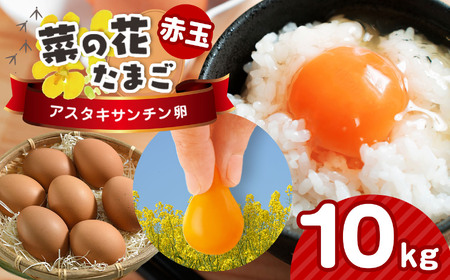 【2週間以内発送】赤玉 サイズLM アスタキサンチン卵 10kg｜菜の花エッグ 自社農場 すぐ発送 常温 抗酸化 健康 新鮮 卵かけご飯 ギフト 君津養鶏場直送｜千葉県 君津市