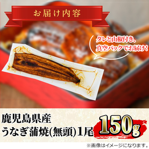 【0064323a】＜数量限定・宅配袋発送＞東串良町のうなぎ蒲焼(無頭)(1尾・約150g・タレ、山椒付) うなぎ 高級 ウナギ 鰻 国産 蒲焼 蒲焼き たれ 鹿児島 ふるさと お試し 【アクアおおす