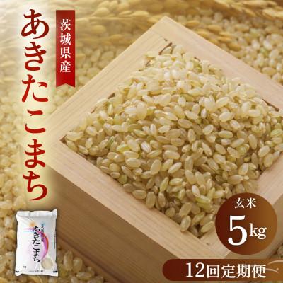 ふるさと納税 かすみがうら市 【毎月定期便】こだわりのあきたこまち 玄米 5kg | 茨城県かすみがうら市全12回